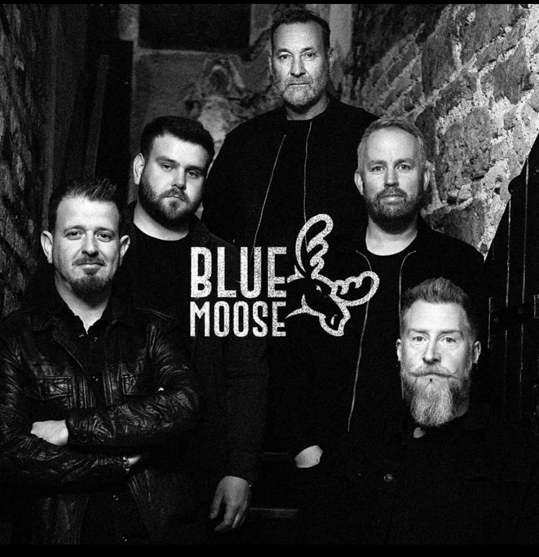 Blue Moose